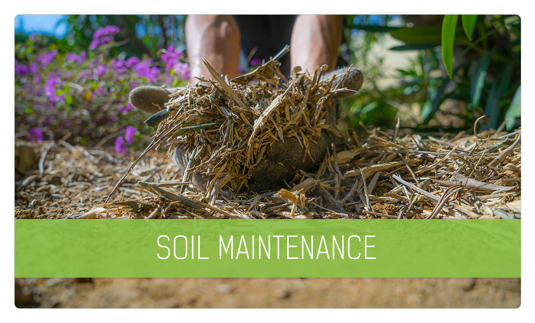 Soil maintenance in Cannes