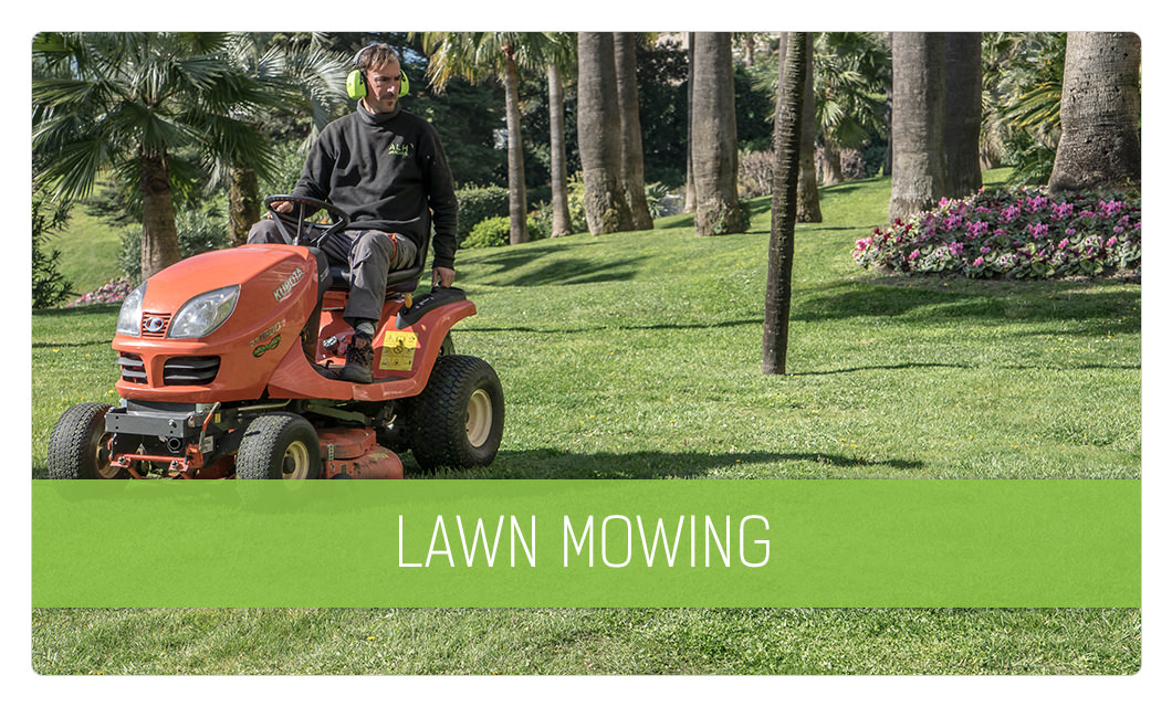 Lawn maintenance in Cannes
