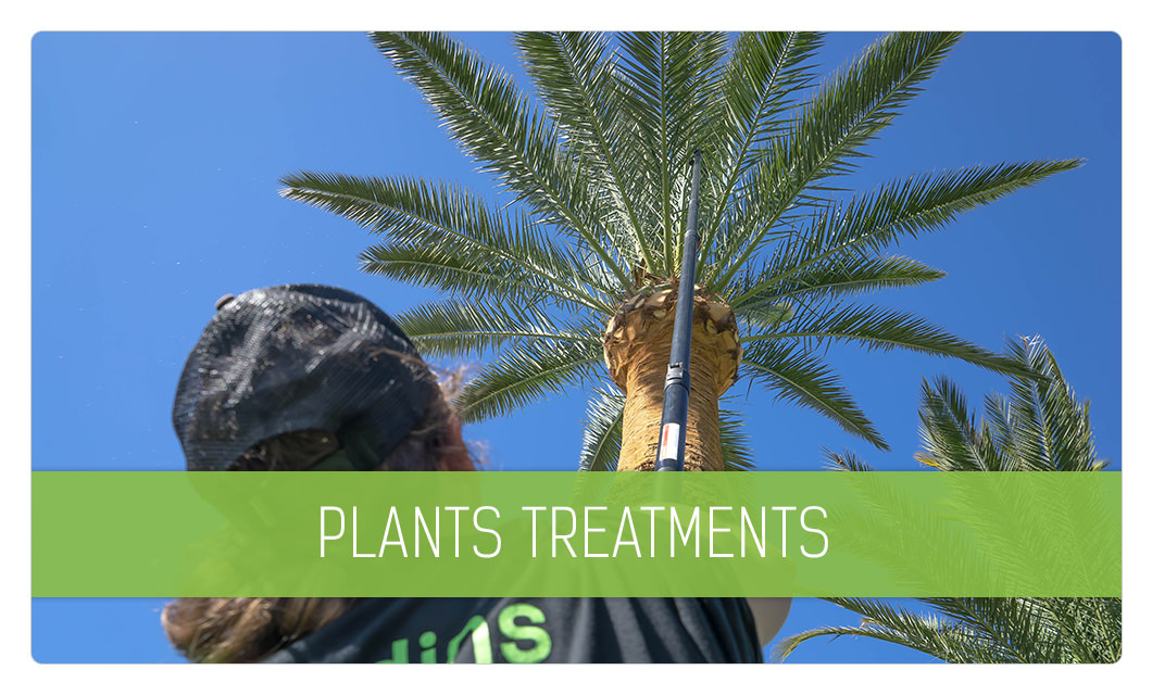 Soil and plant treatments in Cannes