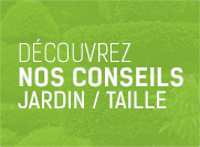 decouvrez-nos-conseils_ALHJardins-services